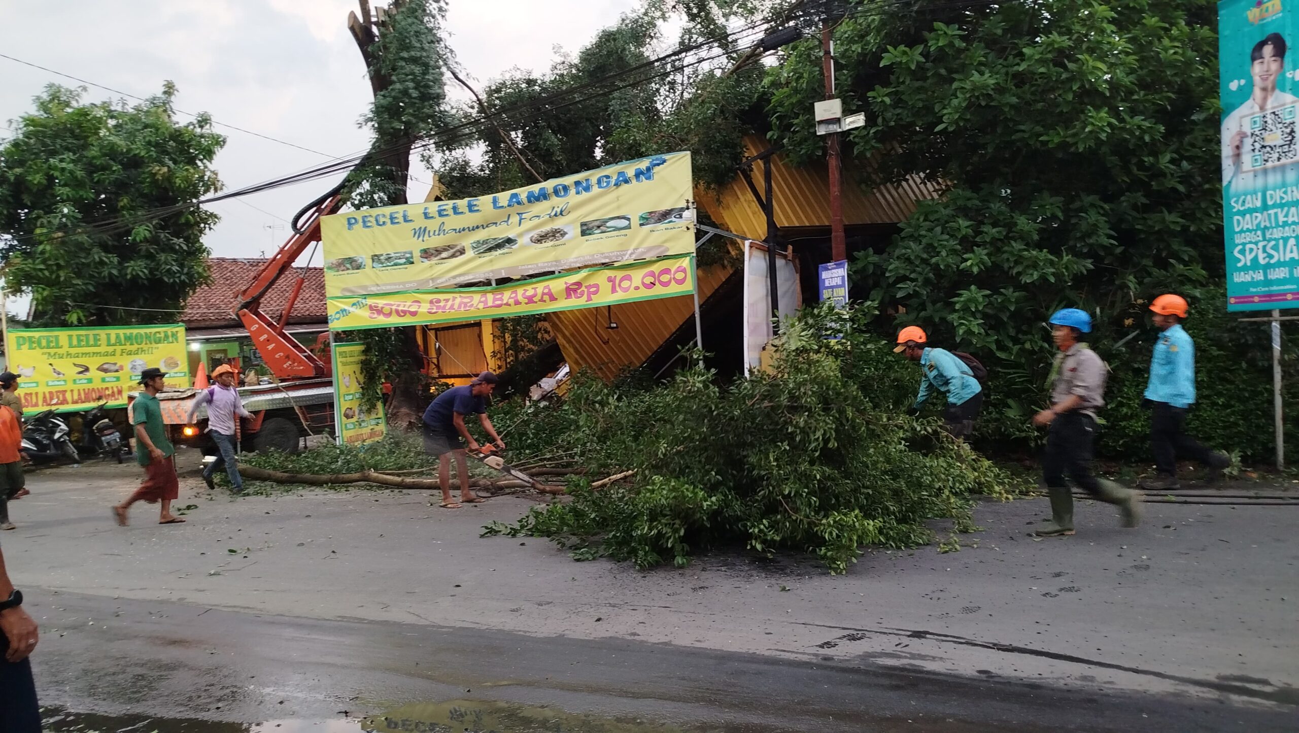 Pohon Tumbang Timpa Warung Lamongan, Pemilik Rugi Ratusan Juta