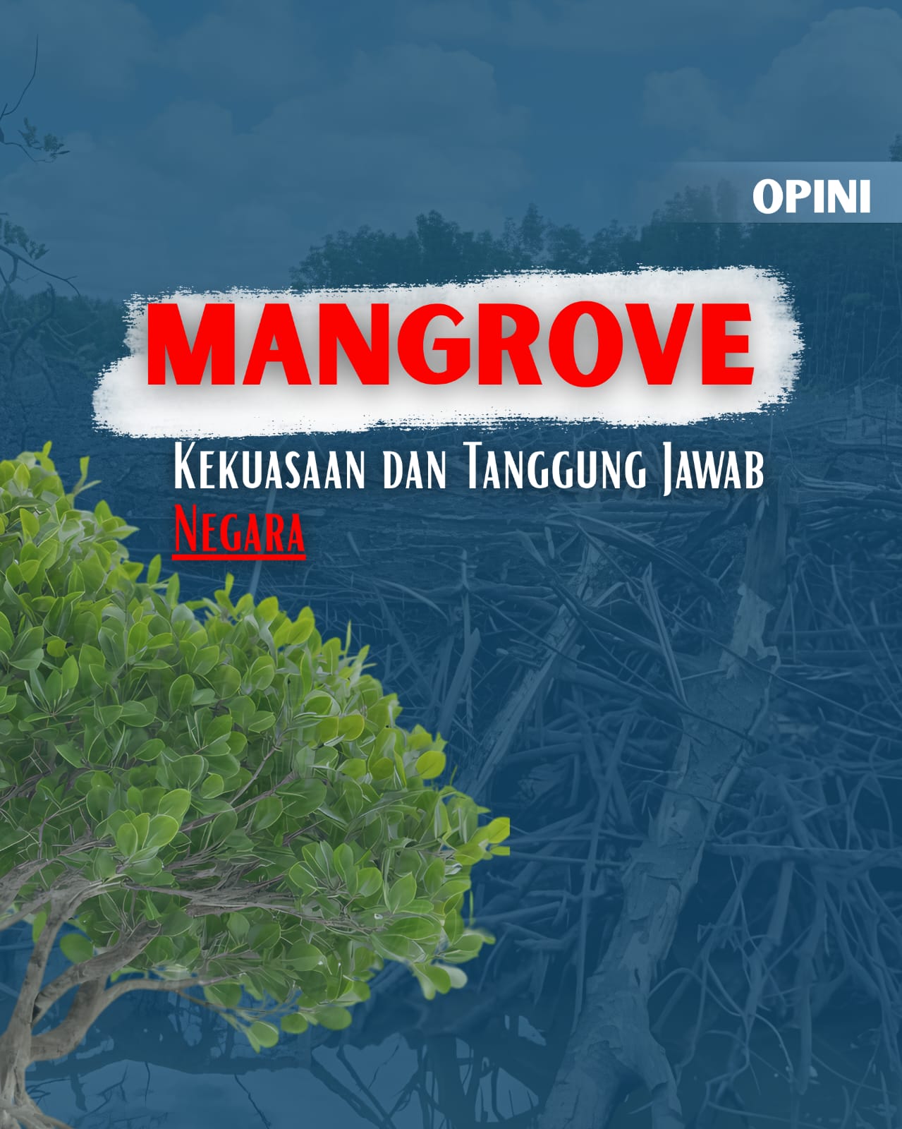 Mangrove, Kekuasaan, dan Tanggung Jawab Negara